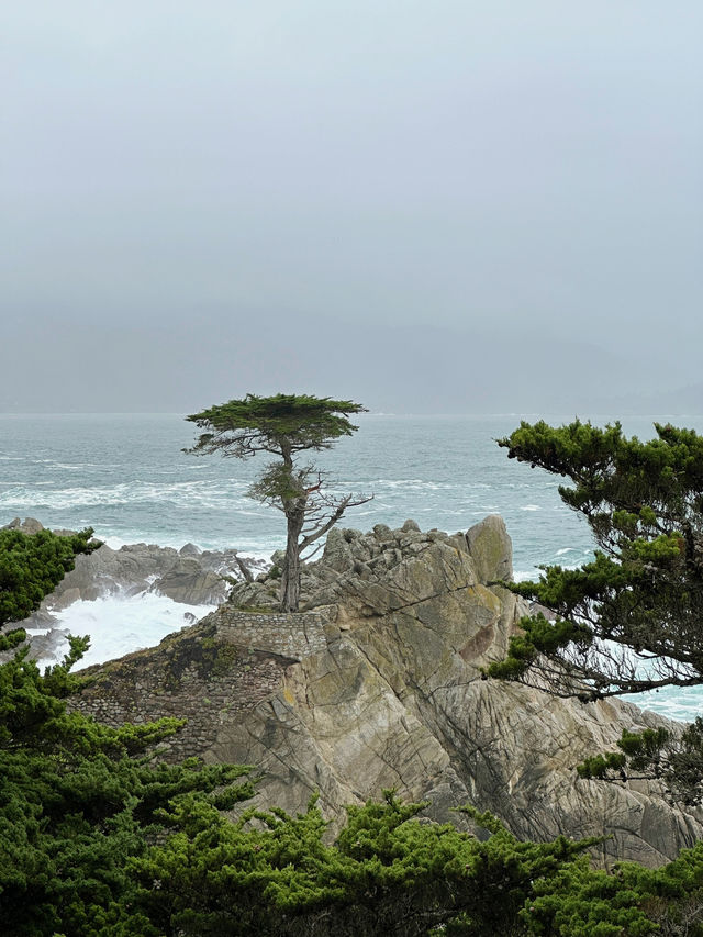 One of the most scenic drives in California 
