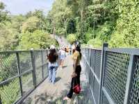สำรวจความงามธรรมชาติที่สวนพฤกษศาสตร์แม่ริม 