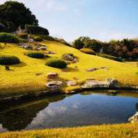 Autumn Magic: A Colorful Escape at Okayama Korakuen Garden!