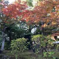 🇯🇵【島根県】由志園！！紅葉シーズンが更に美しい✨