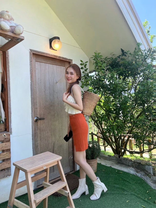 สวนส้มจินจู🍊