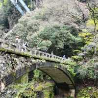 錐麓古道：綠野中的歷史足跡 🌿🚶‍♂️