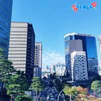 Seoul's Autumn Symphony: A Burst of Color