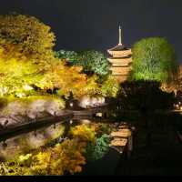 ✨ บรรยากาศสุดฟิน! ชมไฟกลางคืนที่วัดToji, Kyoto✨