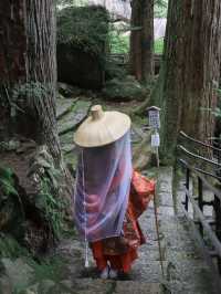 【和歌山】熊野古道で非日常体験をしよう👘