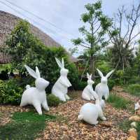 🐰 The bunny's hut cafe 🐰 
