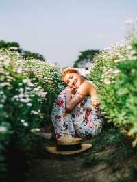 I love flower