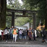 【栃木/日光】紅葉も美しい日光東照宮