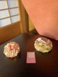 京都観光🥰🩷随心院🩷魅惑の和傘の光の祭典⛱️✨