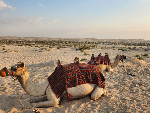 상상이 현실이 되는 알 와트바 사막 리조트🐫🏝️🏨