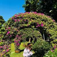 Luxurious Bliss at Divalux Resort & Spa: A Perfect Bangkok Getaway!