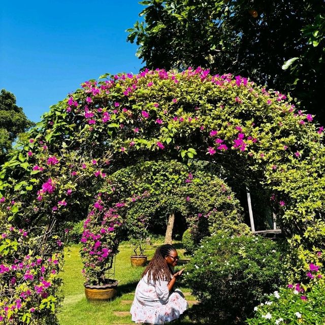 Luxurious Bliss at Divalux Resort & Spa: A Perfect Bangkok Getaway!