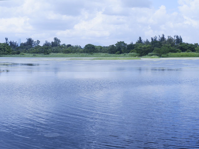 香港生態公園：米埔濕地