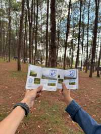 ภูหินร่องกล้า | พิษณุโลก 🏡⛰️🌲🍃