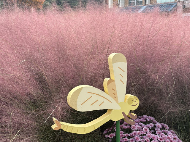 형형색색의 한국의 가을로 오세요 🍂