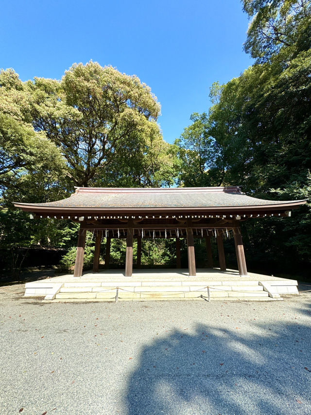 東京　東京観光　日本一参拝者数の明治神宮に行ってきた！