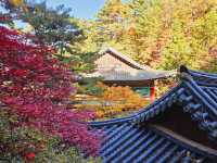 Fall season at the biggest temple in Korea, Guinsa Temple