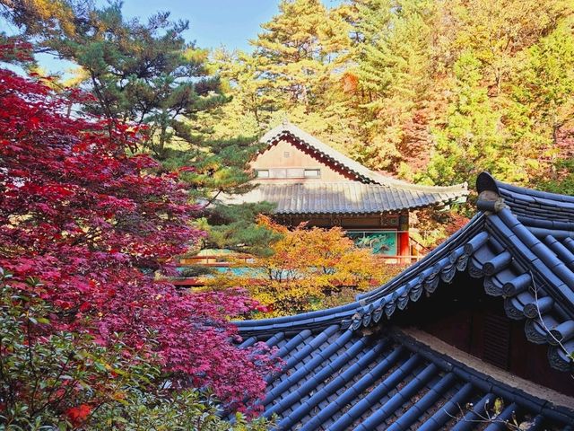 Fall season at the biggest temple in Korea, Guinsa Temple