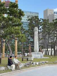 해운대 앞 작은 소나무 숲 송림공원
