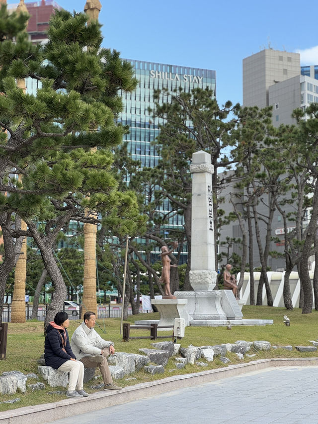해운대 앞 작은 소나무 숲 송림공원