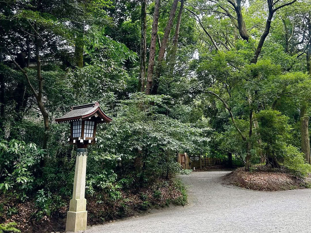 Tranquil Exploration at Meiji Jingu