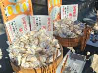 宮崎絕美海岸線 鬼の洗濯板與青島神社