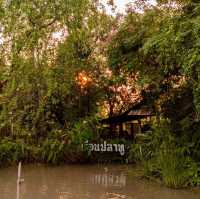 เรือนปลาทู คาเฟ่