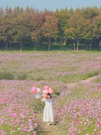 너무 행복했던 나의 분홍 빛 가을💖🌸🦄🎀