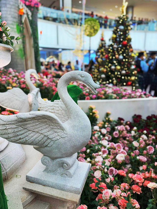 We wish you a Merry Christmas 🌲