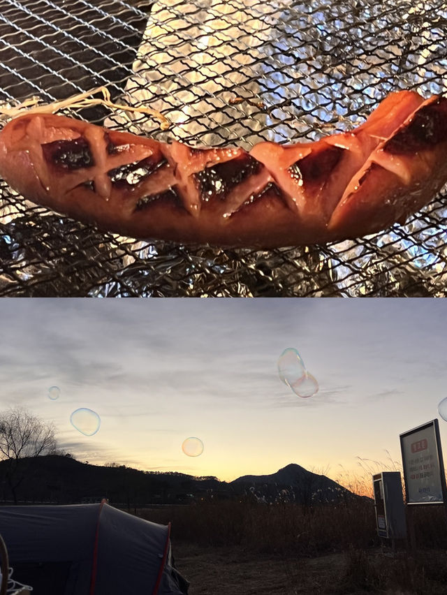 가을에 즐기는 캠핑 !⛺️