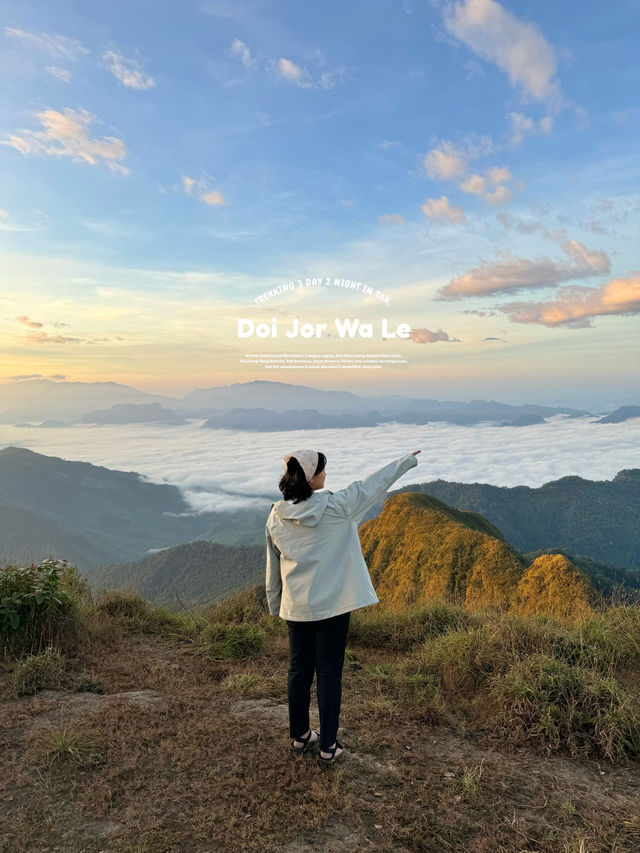 แคมป์จอวาเล | จ.ตาก ⛰️🌳⛅️🏕️