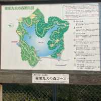 紅葉が見事だった【篠栗九大の森】森林浴で癒されました
