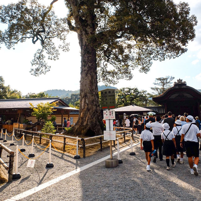 วัดคินคะคุจิ Kinkaku-ji Temple 