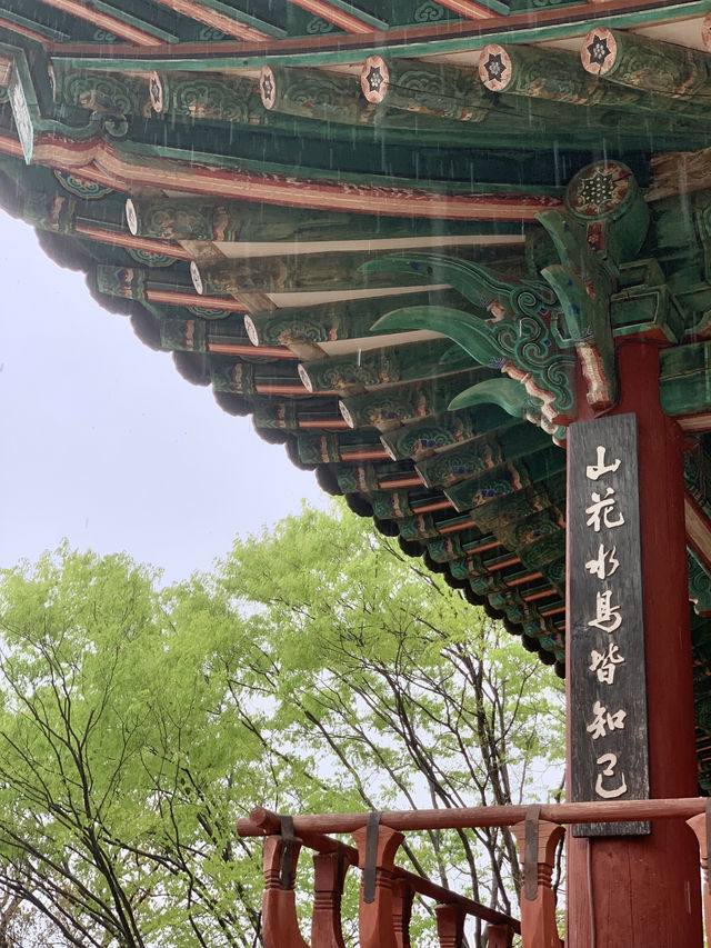 Rainy Day Charm: Exploring Jeonju Hanok Village in Serenit