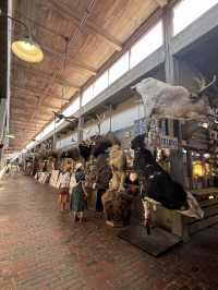 ［沃斯堡旅遊］Stockyards Station-你不想錯過的牛仔小鎮🤠