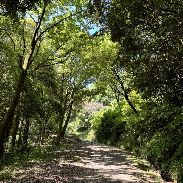 瀨戶內海單車旅行