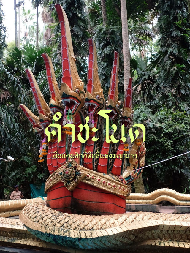 คำชะโนด: ดินแดนศักดิ์สิทธิ์แห่งพญานาค