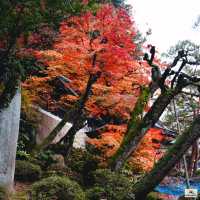 Sakurayama Hachimangu Shrine