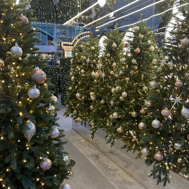 【🇰🇷：永登浦】タイムスクエア前のイルミネーション🎄