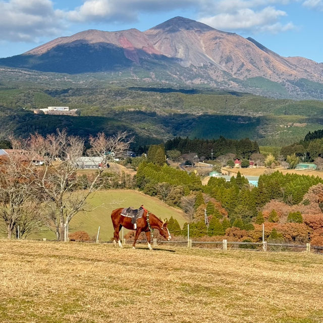 🇯🇵宮崎/高千穂牧場🐄極上ソフトクリーム！