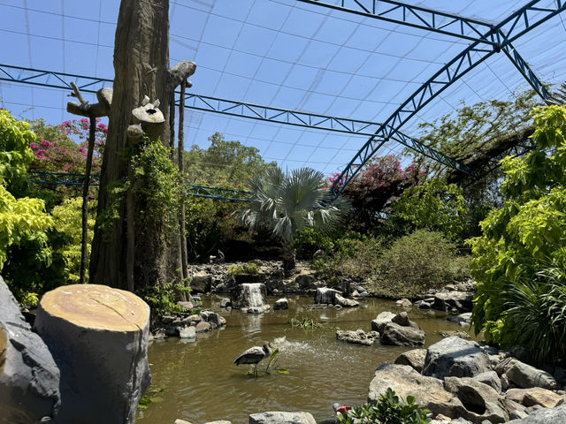 KING'S GARDEN