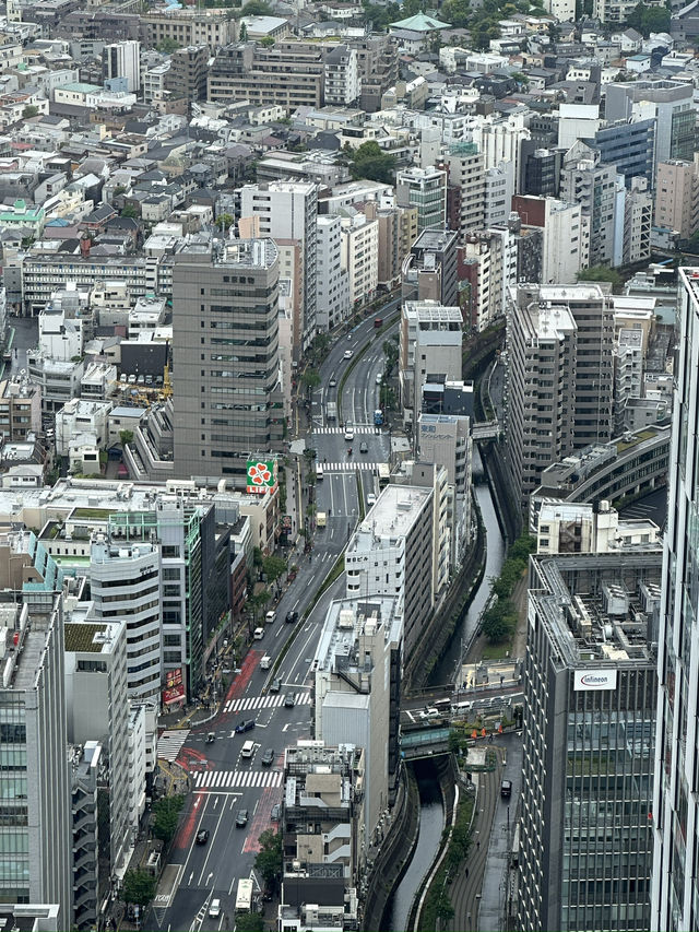  Soaring Above Tokyo: The Magic of Shibuya Sky