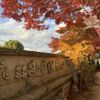 如意輪寺(青蛙寺)比太宰府更值得去的景點