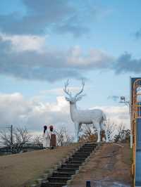 【福井】巨大な鹿のいる公園🦌🤍インパクト強いオブジェ！ 