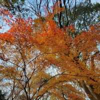 Ueno Onshi Park