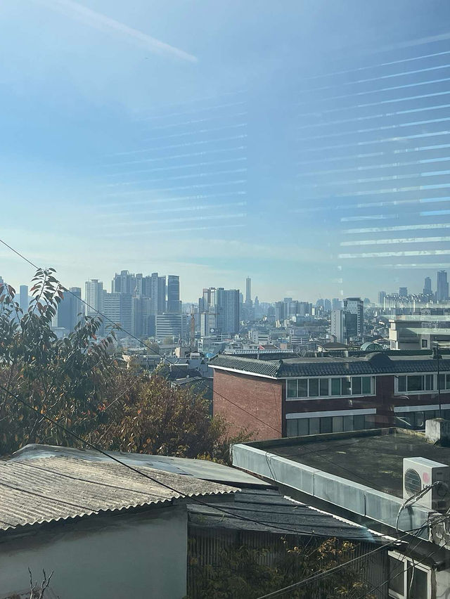 🥨🧀남산 아래 마모에