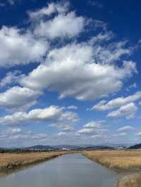 Suncheon Bay Reserve ชุนชอน