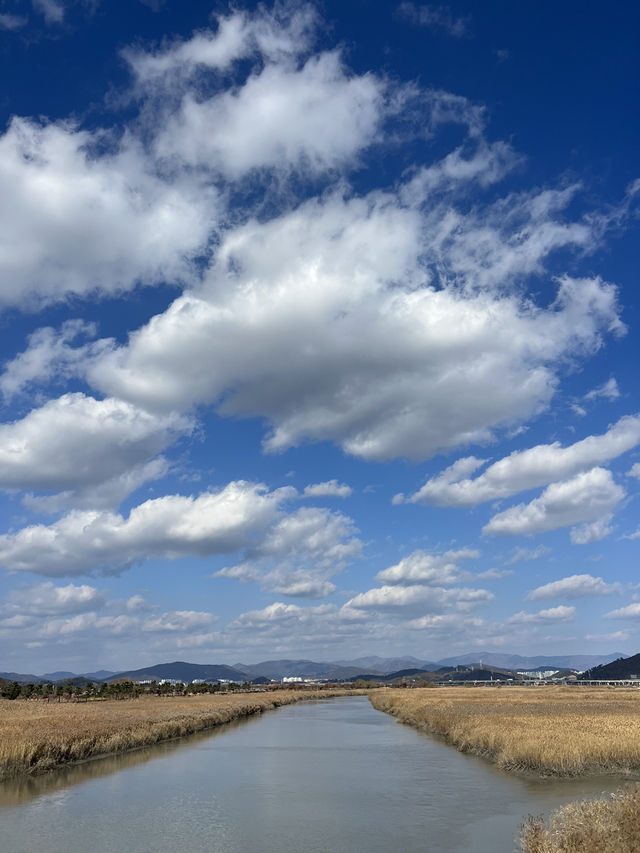 Suncheon Bay Reserve ชุนชอน
