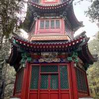 秋日的香山：风景如画，红叶如诗