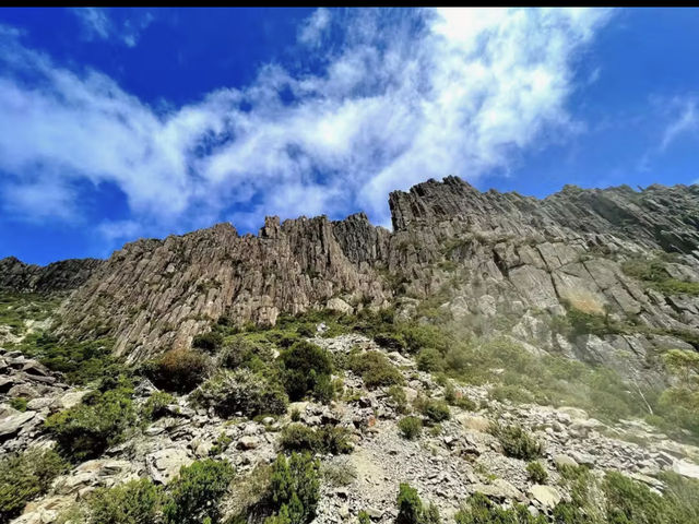 Ben Lomond National Park 